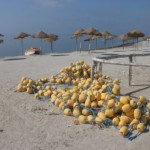 PLAGE TAPARURA
