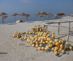 PLAGE TAPARURA