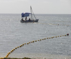 PLAGE TAPARURA