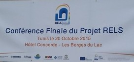 Conférence finale du projet RELS