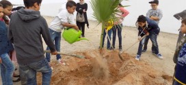 The celebration of the National Day of the Tree at the site of the Taparura project